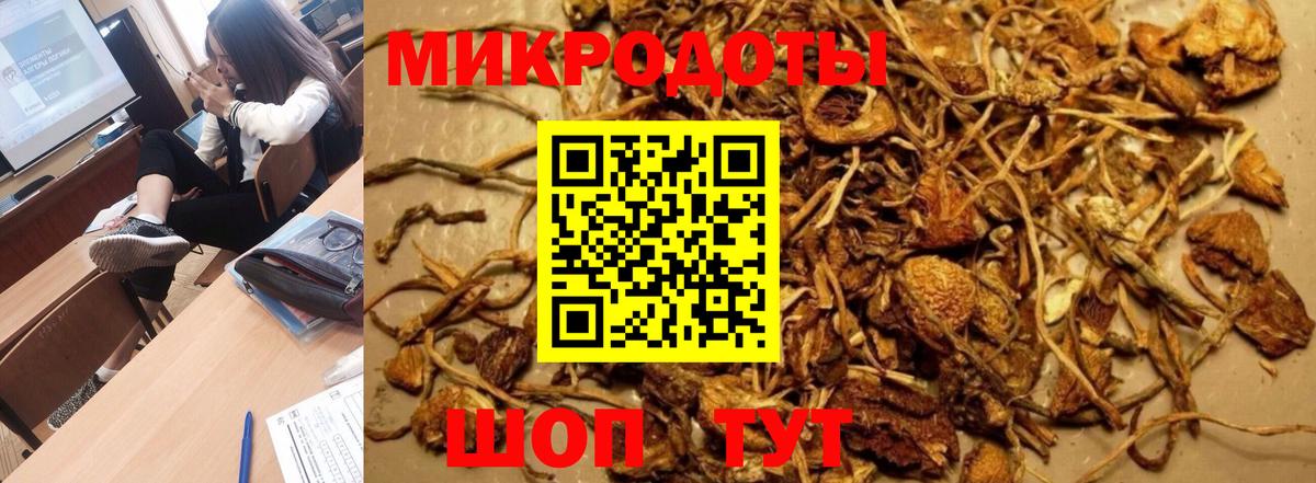 Галлюциногенные грибы ЛСД  что такое   Псилоцибиновые грибы Psilocybe  Лосино-Петровский  Вход с VPN 